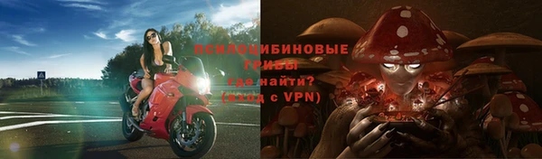 дживик Белоозёрский