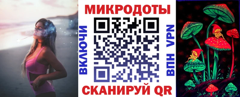Купить  Сланцы  Галлюциногенные грибы Psilocybine cubensis 
